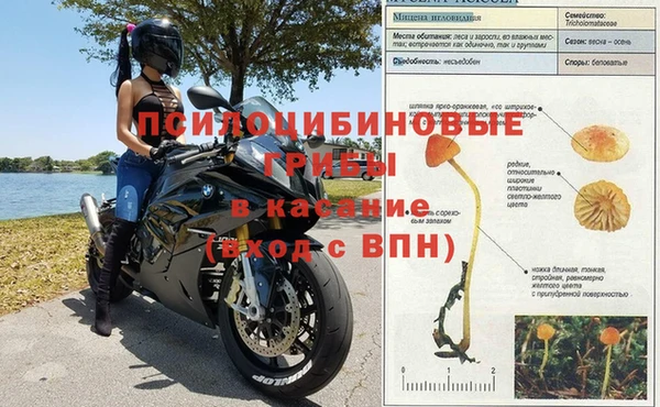 гашиш Белокуриха