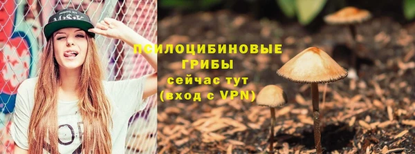 ешки Белоозёрский