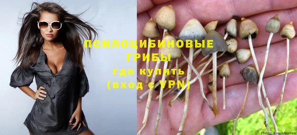 гидропоника Беломорск